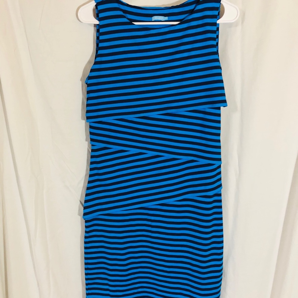 J. McLaughlin Black and blue striped dress